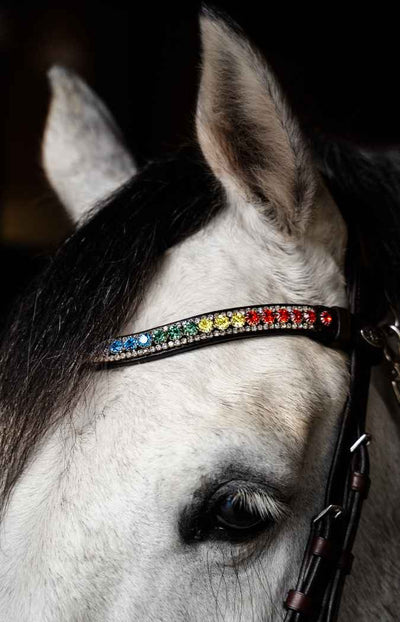 Luxury Browbands