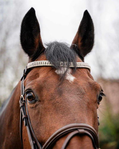 Browbands
