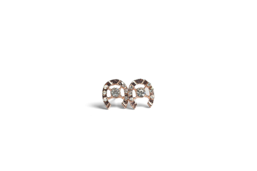 
            
                Load image into Gallery viewer, Horseshoe crystal earrings
            
        