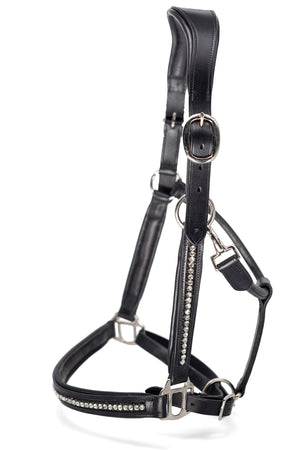 Horse Halter | Luxury Collection Sparks N Blings