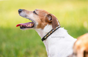Collari per cani Slim Shine